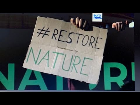 La Legge Sul Ripristino Della Natura Divide Il Parlamento Europeo