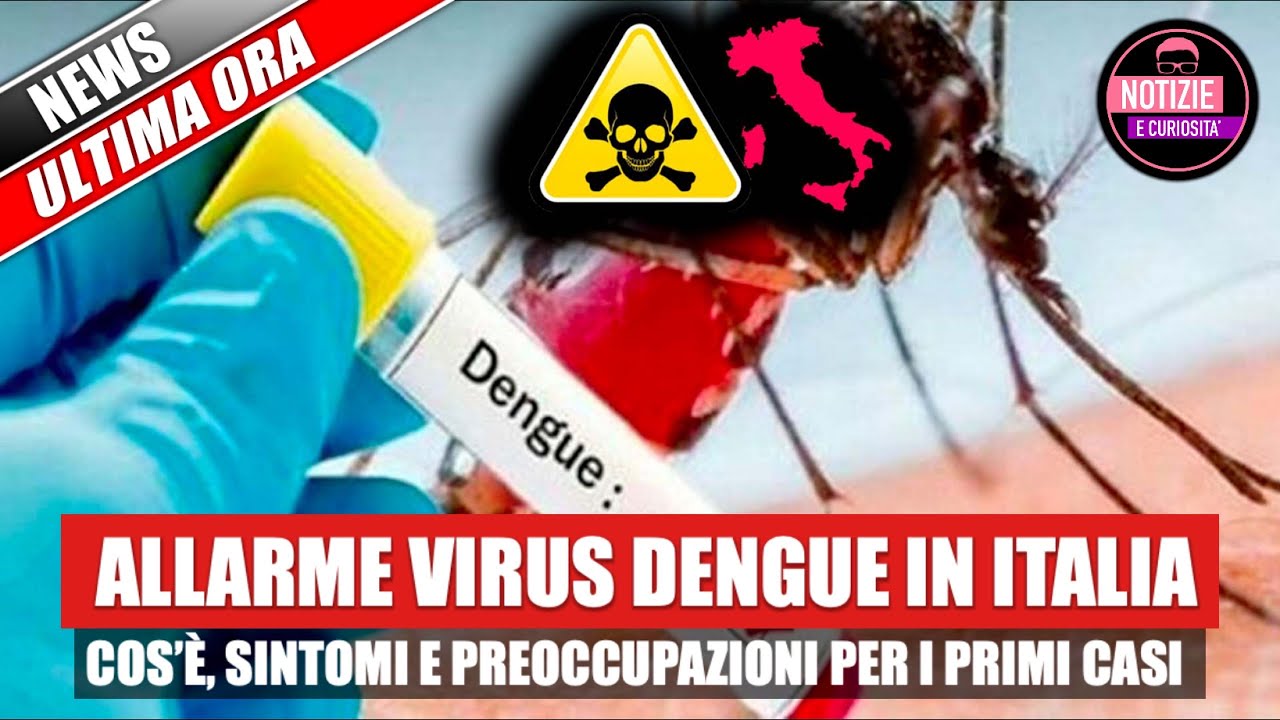 Allarme Virus Dengue In Italia Cos Sintomi E Preoccupazioni Per I