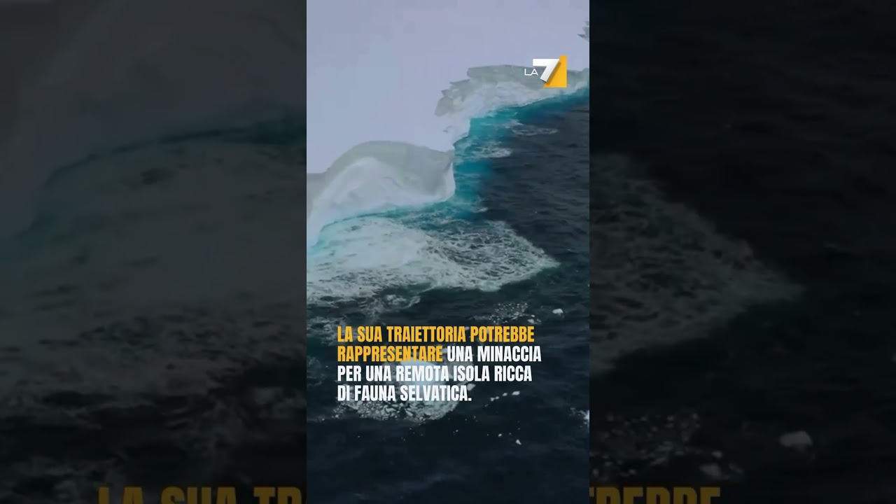 In Antartide Si Staccato Il Pi Grande Iceberg Del Mondo E Ora Va Alla Deriva Tristemondo It