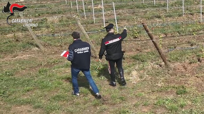 Caporalato in agricoltura, in corso arresti in Toscana